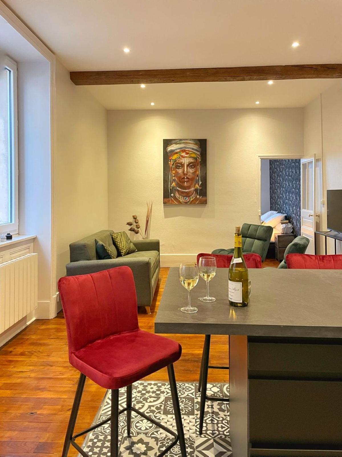 Center Macon Charmant Appartement Avec Vue Sur La Saone Exterior foto